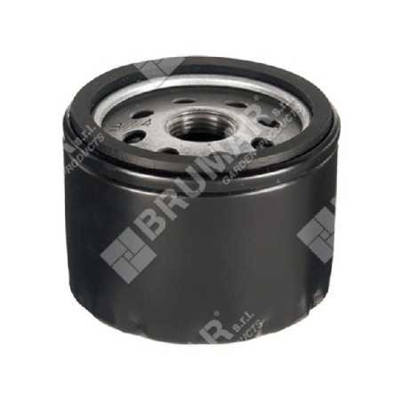 Filtre à huile moteur COMPATIBLE RUGGERINI - 010618 | NewgardenParts.com