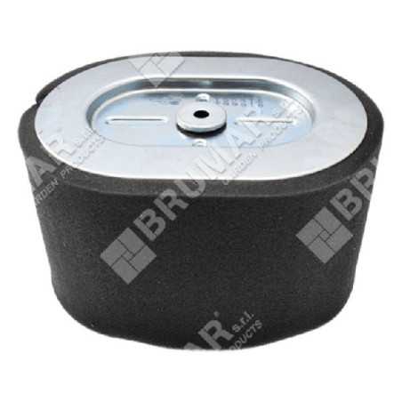 Air filter for BRIGGS & STRATTON engines 799818 COMPATIBLE - 050699 | NewgardenParts.com