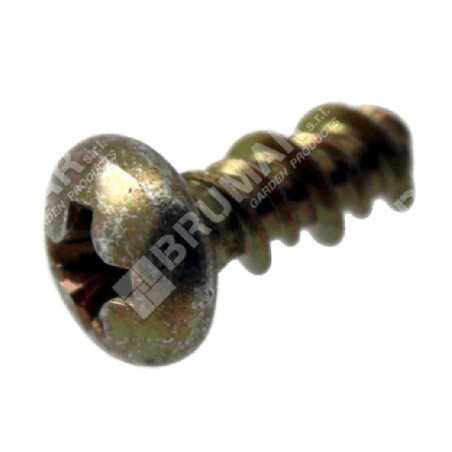 Vis 4x10 plaque guide lame OCS2801C COMPATIBLE - 017863 | NewgardenParts.com