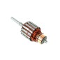 Armatura rotore iniziale motore rasaerba BRIGGS & STRATTON 390837