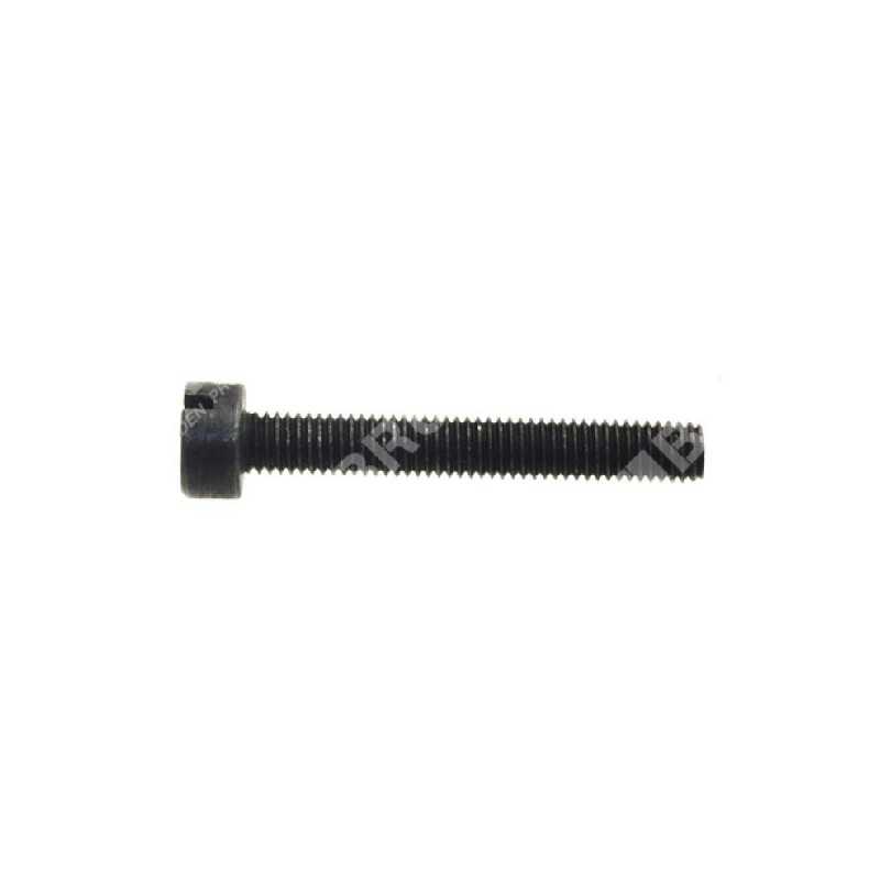 Chain tensioner screw for IKRA pruners - MOGATEC COMPATIBLE - 043250