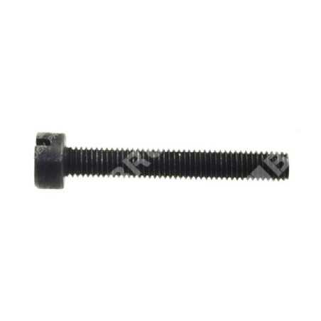 Tornillo tensor de cadena para podadoras IKRA - COMPATIBLE MOGATEC - 043250 | NewgardenParts.com