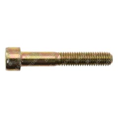 Vis pour pompes BERTOLINI COMPATIBLES - 050753 | NewgardenParts.com
