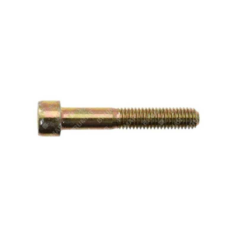 Vis pour pompes BERTOLINI COMPATIBLES - 050753