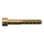 Screw for COMPATIBLE BERTOLINI pumps - 050753