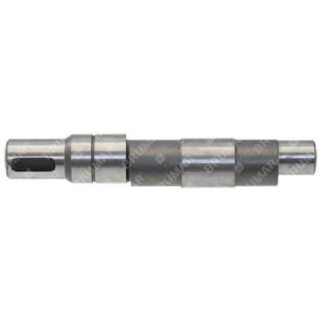 Exzenterwelle für KOMPATIBLE BERTOLINI-Pumpen - 046367 | NewgardenParts.com