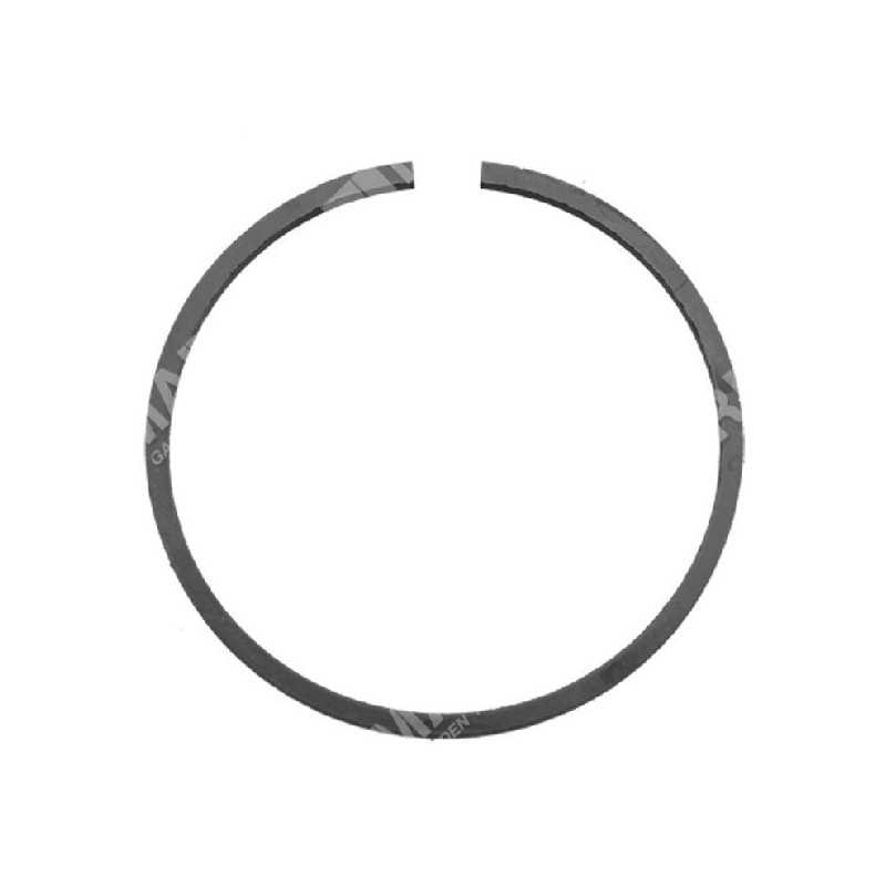 Kolbensegment für KOMPATIBLE BERTOLINI-Pumpen - 026306