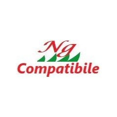 Wing nut kit for COMPATIBLE BERTOLINI pumps - 019442