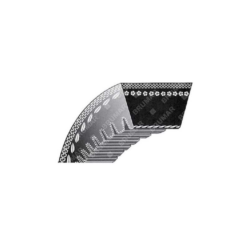 TOOMED V-BELT section 3L - Z type 21 1/2 inch SANDRIGARDEN - MAORI COMPATIBLE - 010753 TOOMED V-BELT section 3L - Z type 21 1/2 inch SANDRIGARDEN - MAORI COMPATIBLE - 010753