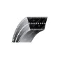 Correa trapezoidal 45 11/16 pulgadas para desbrozadoras de ruedas ATTILA COMPATIBLE - 038633