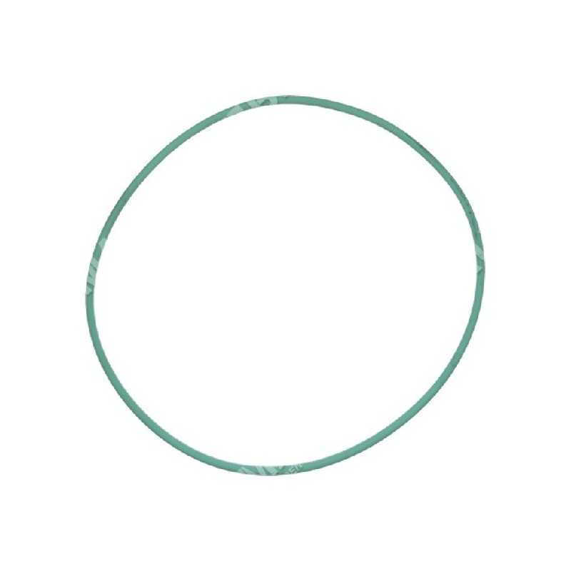 Bague OU pour pompes BERTOLINI COMPATIBLES - 035235