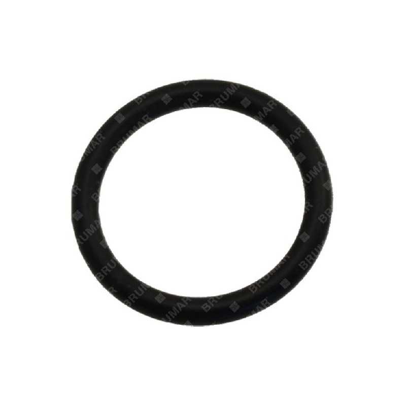 Anillo OR para bombas COMPATIBLES BERTOLINI - 026223