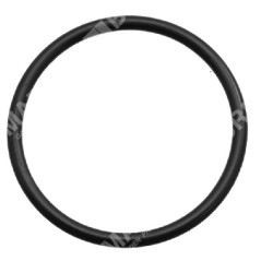 Joint torique pour pompes BERTOLINI COMPATIBLES - 023372 | NewgardenParts.com
