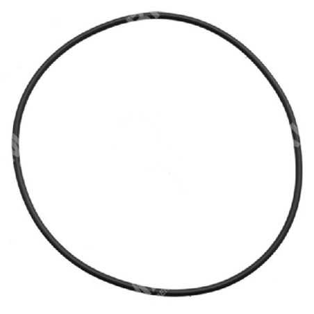 O-Ring für KOMPATIBLE BERTOLINI-Pumpen - 023367 | NewgardenParts.com