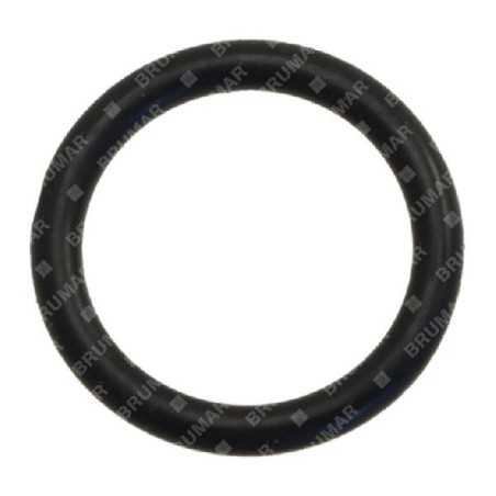 Joint torique pour pompes BERTOLINI COMPATIBLES - 022814 | NewgardenParts.com