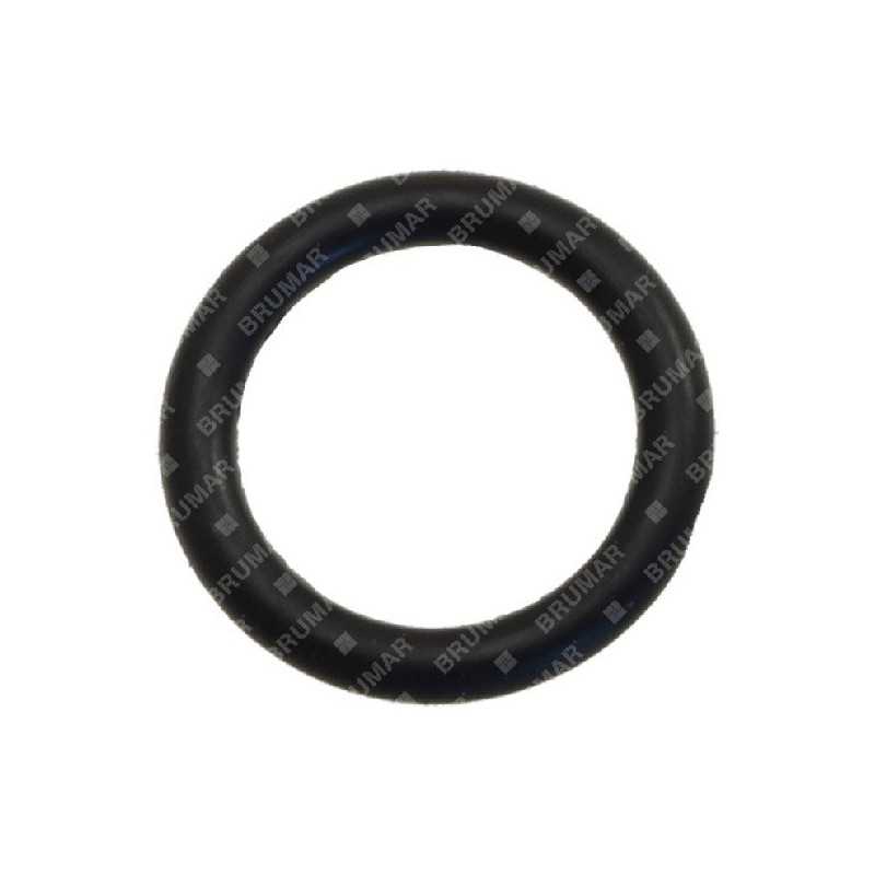 Anillo OR para bombas COMPATIBLES BERTOLINI - 022354