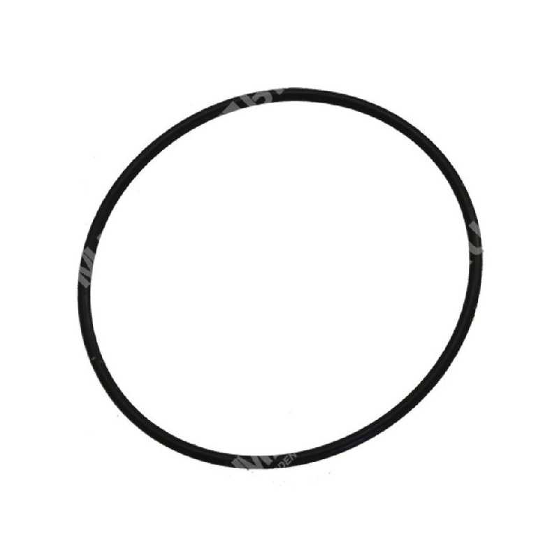 Bague OR pour pompes BERTOLINI COMPATIBLES - 022353