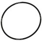 Bague OR pour pompes BERTOLINI COMPATIBLES - 022353