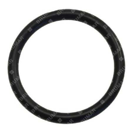 O-Ring für KOMPATIBLE BERTOLINI-Pumpen - 016183 | NewgardenParts.com