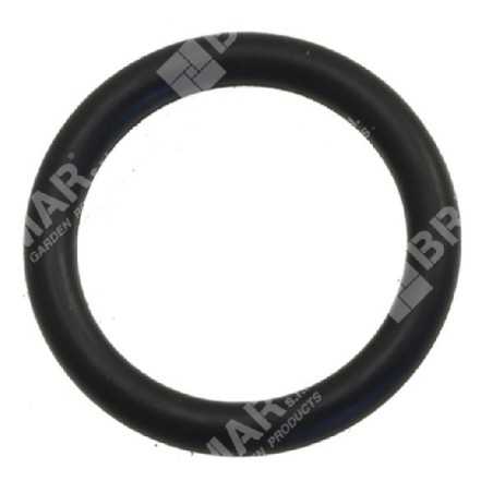 Joint torique pour pompes BERTOLINI COMPATIBLES - 007693 | NewgardenParts.com