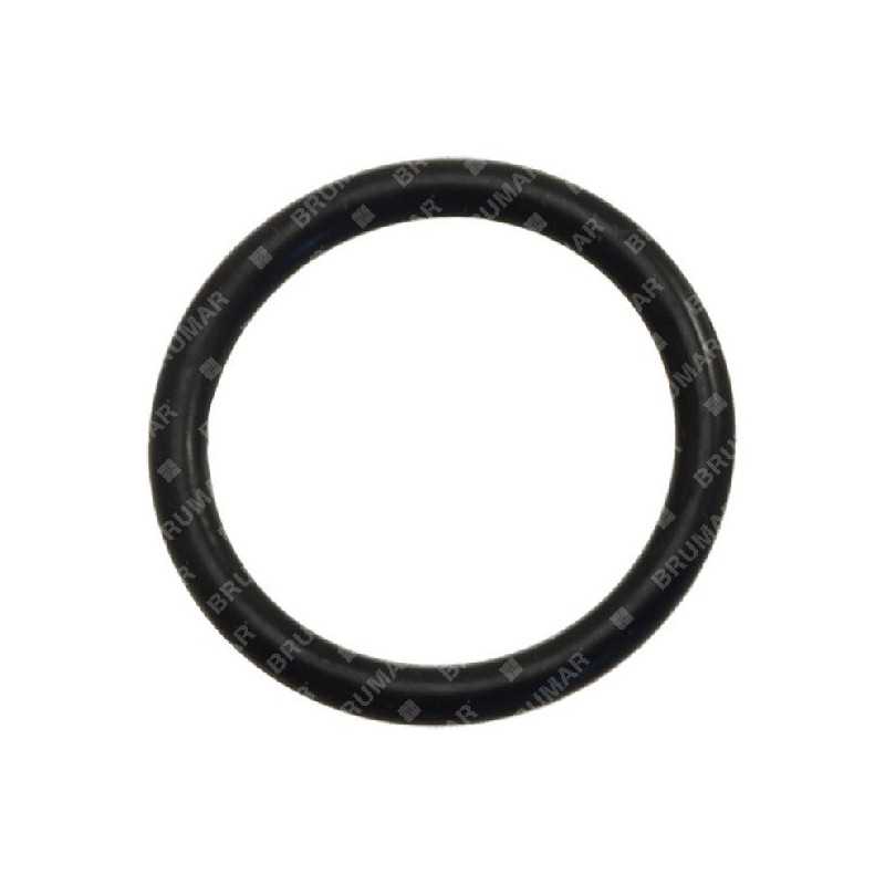 OR ring for COMPATIBLE BERTOLINI pumps - 004572