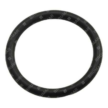 O-Ring für KOMPATIBLE BERTOLINI-Pumpen - 003319 | NewgardenParts.com