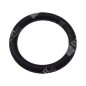 O-RING tappo pompa per motopompe DUCAR COMPATIBILE - 049571