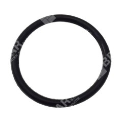 Racor O-RING cuerpo bomba manguera para motobombas DUCAR COMPATIBLE - 049569