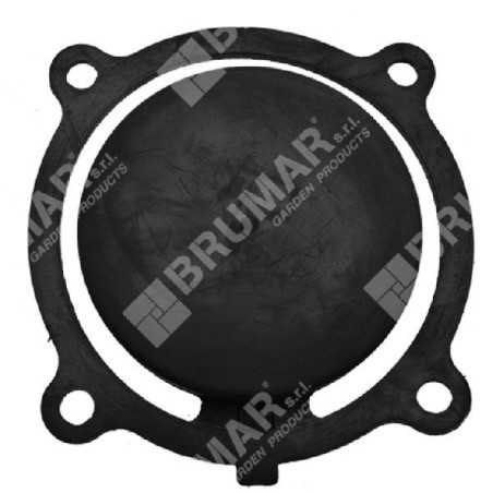Suction valve for DUCAR motor pumps COMPATIBLE - 048037 | NewgardenParts.com