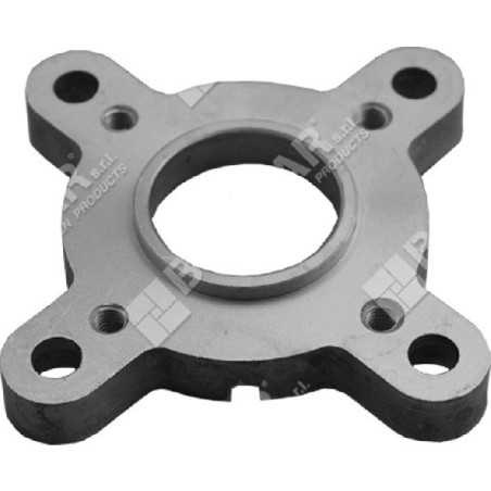 Piastra collegamento corpo pompa per motopompe DUCAR COMPATIBILE - 038613 | NewgardenParts.com