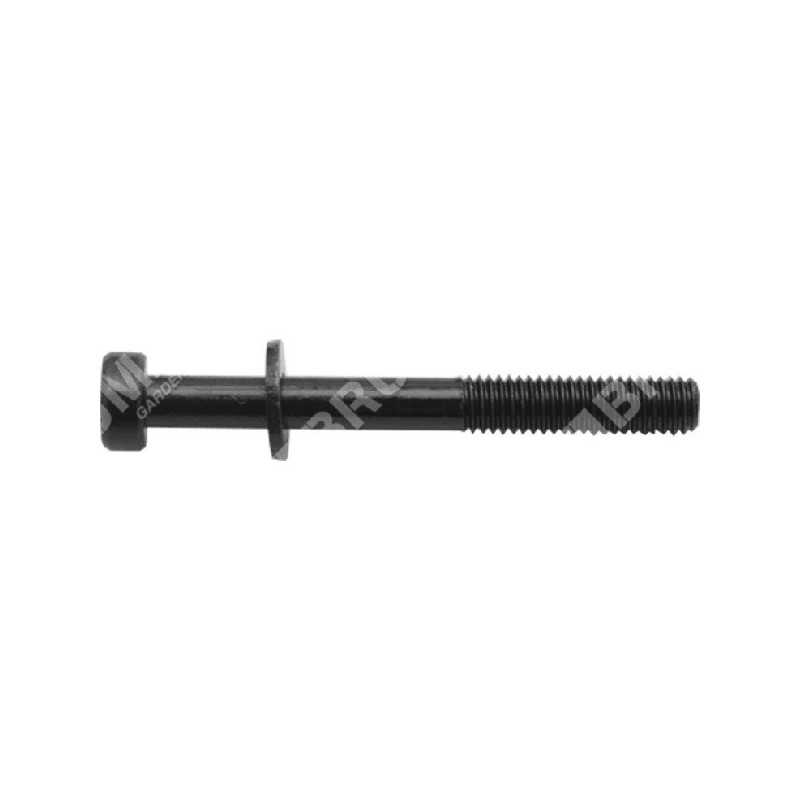 Vite marmitta zmg4302-5302 m6x55 COMPATIBILE - 049916