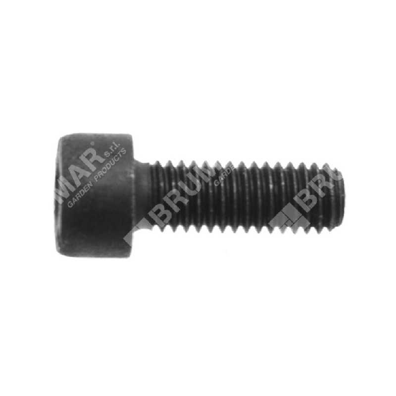 Allen screw m5x14 cg430bn COMPATIBLE - 023144