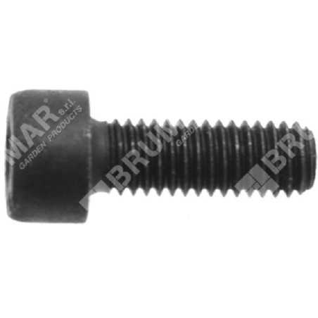 Allen screw m5x14 cg430bn COMPATIBLE - 023144 | NewgardenParts.com