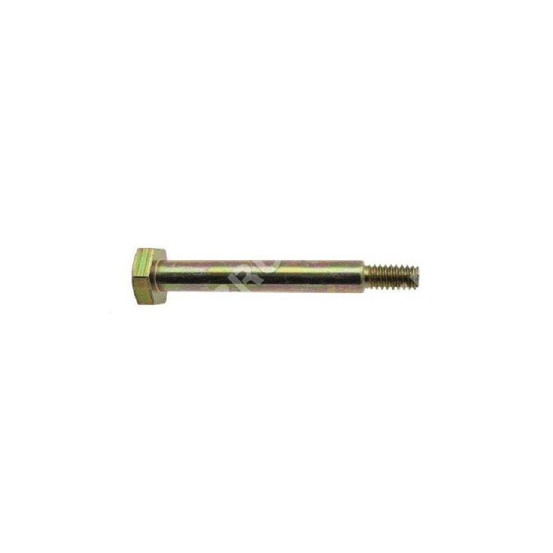 Mtd screw 738-04172 COMPATIBLE - 021178