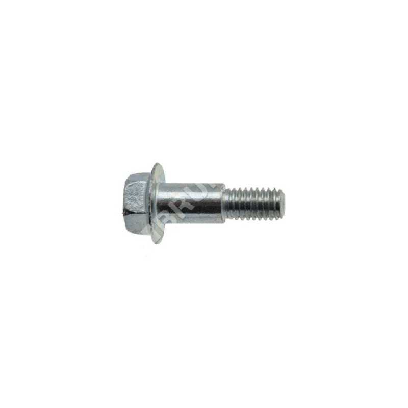 Mtd screw 738-04079 COMPATIBLE - 021173