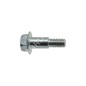 Mtd screw 738-04079 COMPATIBLE - 021173