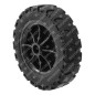 Raddurchmesser 200 mm für PUBERT COMPATIBLE Motorhacken - 033384