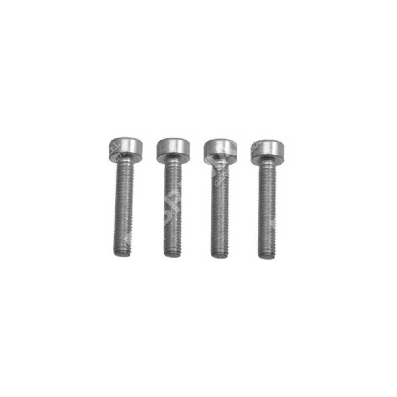 Reducer support fixing screw kit for MAORI ZAK 30 COMPATIBLE cordless scissors - 016086
