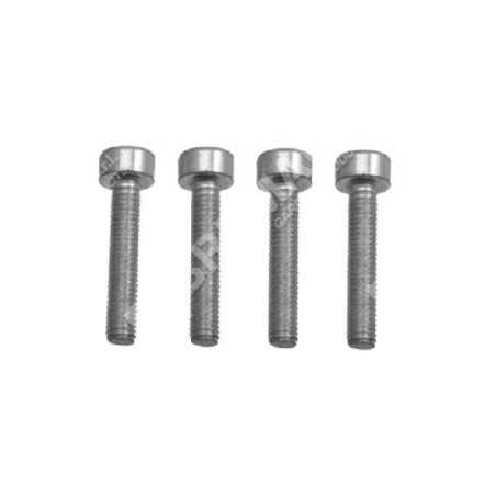 Reducer support fixing screw kit for MAORI ZAK 30 COMPATIBLE cordless scissors - 016086 | NewgardenParts.com