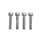 Reducer support fixing screw kit for MAORI ZAK 30 COMPATIBLE cordless scissors - 016086