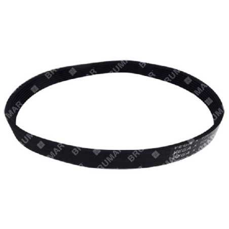Belt 18 3/4 inches for MAORI COMPATIBLE lawnmower - 048607 | NewgardenParts.com