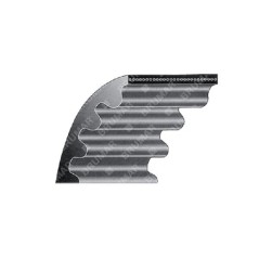 CEINTURE COMPATIBLE HONDA - 016298