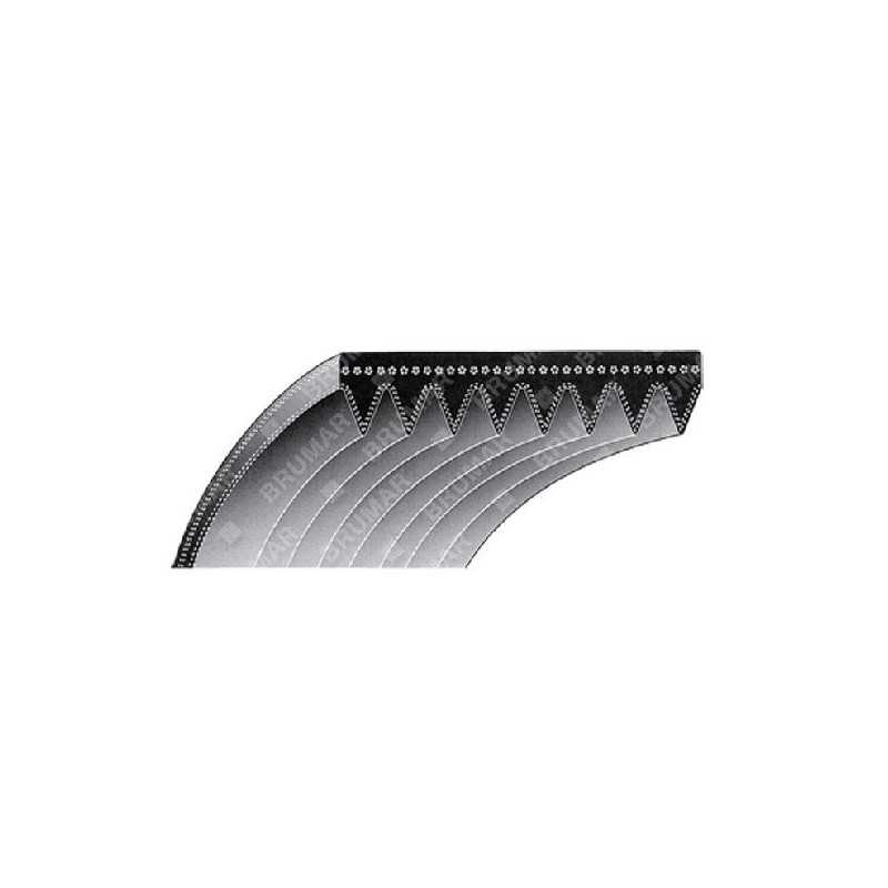 Cinghia A NERVATURA per rasaerba SNAPPER - SIMPLICITY COMPATIBILE - 012656
