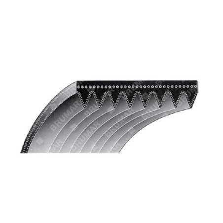 Cinghia A NERVATURA per rasaerba SNAPPER - SIMPLICITY COMPATIBILE - 012656 | NewgardenParts.com