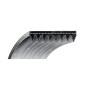 BANDRIEMEN für Rasenmäher SNAPPER - SIMPLICITY COMPATIBLE - 012656