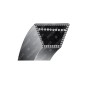 CORREA V COMPATIBLE HONDA - 012634
