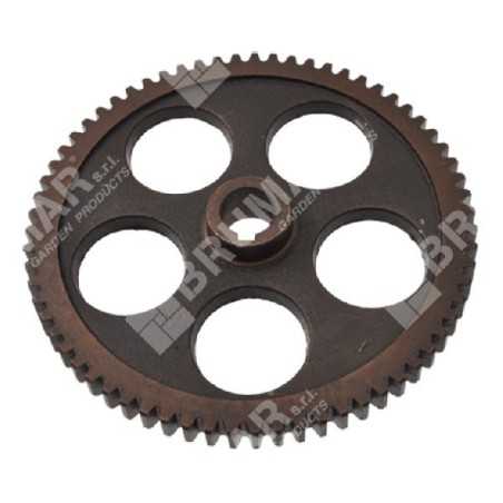 Engranaje diferencial para quitanieves COMPATIBLE MAORI - 050117 | NewgardenParts.com