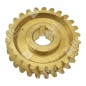 Ingranaggio ottone per spazzaneve MAORI COMPATIBILE - 048877