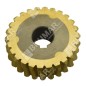 Ingranaggio ottone per spazzaneve MAORI COMPATIBILE - 024899