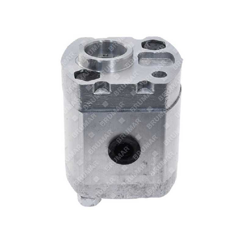 Pistone idraulico spaccalegna wspl-11 COMPATIBILE - 040766